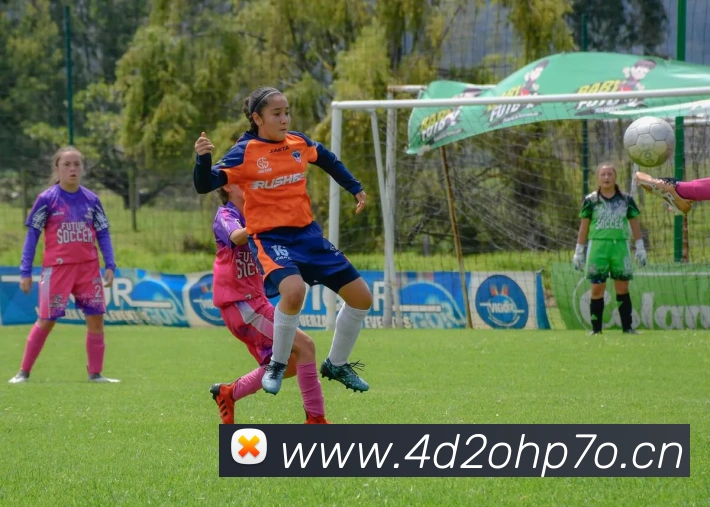 App Interface Preview