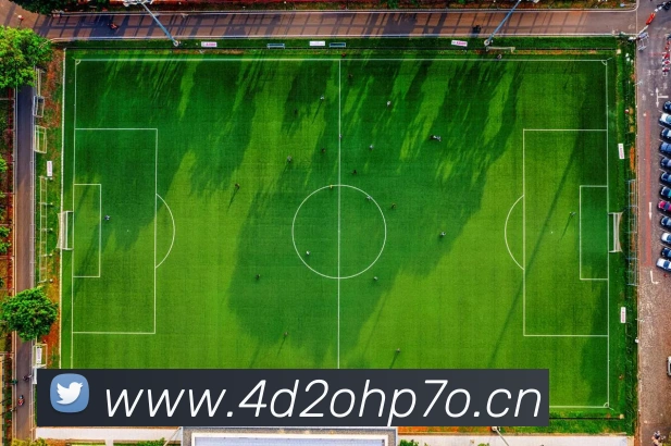 星空网官网登录入口手机版APP 封面图